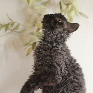 Meet your Posher, Tania